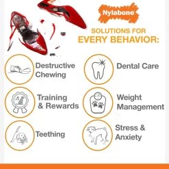 Nylabone® DuraChew® Bone Chew Dog Toys - 3 Pack 7 Nylabone® DuraChew® Bone Chew Dog Toys - 3 Pack -Pet Essentials Shop 5215618 alt2