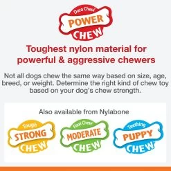 Nylabone® DuraChew® Bone Chew Dog Toys - 3 Pack 8 Nylabone® DuraChew® Bone Chew Dog Toys - 3 Pack -Pet Essentials Shop 5215618 alt3