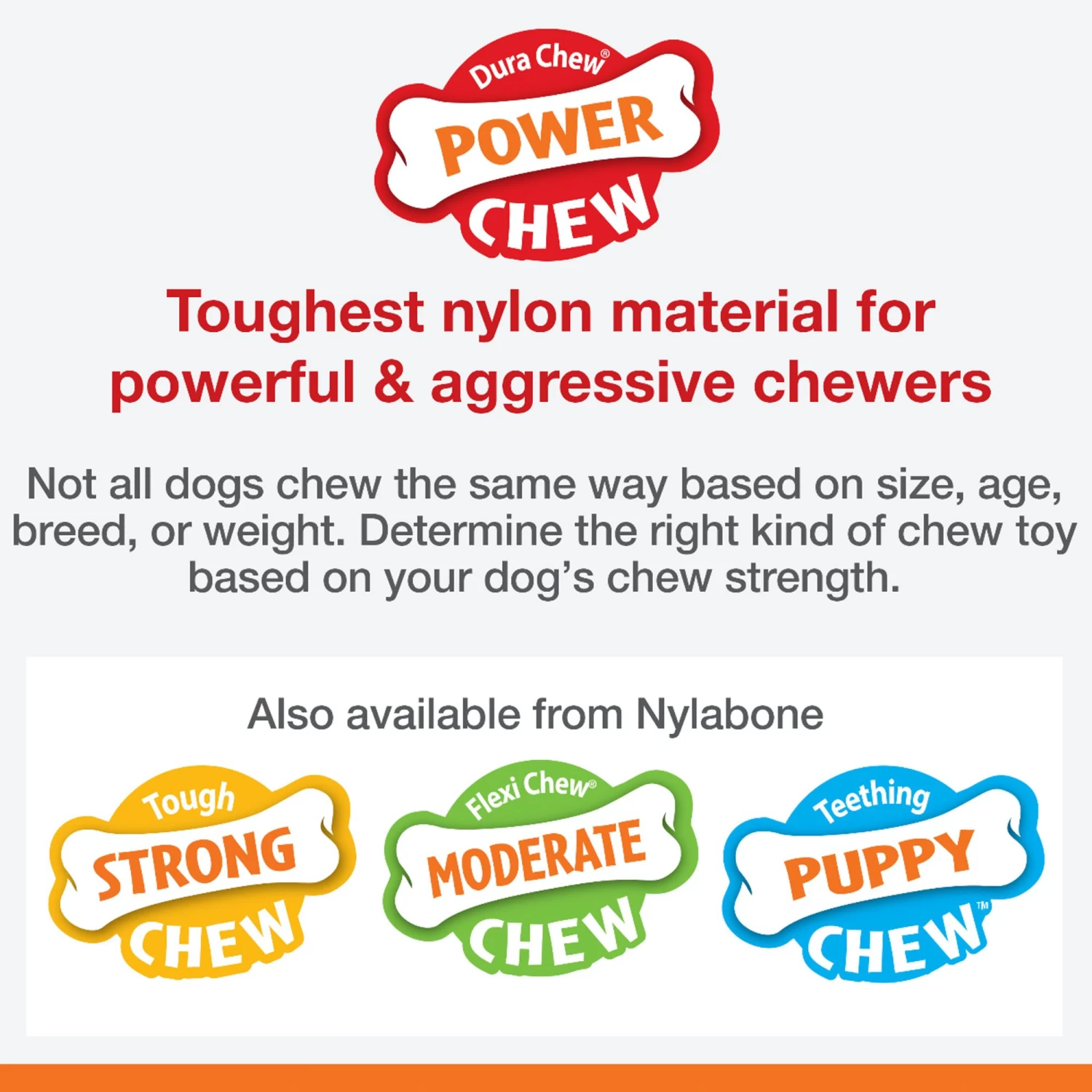 Nylabone® DuraChew® Bone Chew Dog Toys - 3 Pack 4 Nylabone® DuraChew® Bone Chew Dog Toys - 3 Pack - Image 4