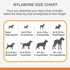 Nylabone® DuraChew® Bone Chew Dog Toys - 3 Pack 9 Nylabone® DuraChew® Bone Chew Dog Toys - 3 Pack -Pet Essentials Shop 5215618 alt4