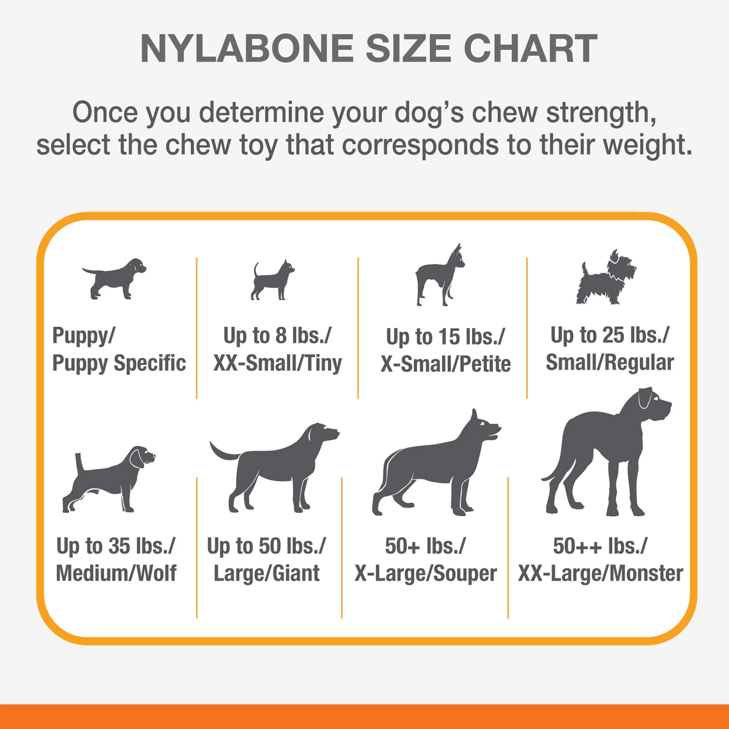 Nylabone® DuraChew® Bone Chew Dog Toys - 3 Pack 5 Nylabone® DuraChew® Bone Chew Dog Toys - 3 Pack - Image 5