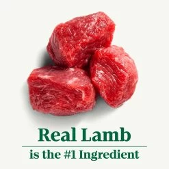 Nutro Natural Choice™ Adult Dry Dog Food - Non-GMO, Lamb & Brown Rice -Pet Essentials Shop 5231400 alt3