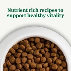 Nutro Natural Choice™ Adult Dry Dog Food - Non-GMO, Lamb & Brown Rice -Pet Essentials Shop 5231400 alt4