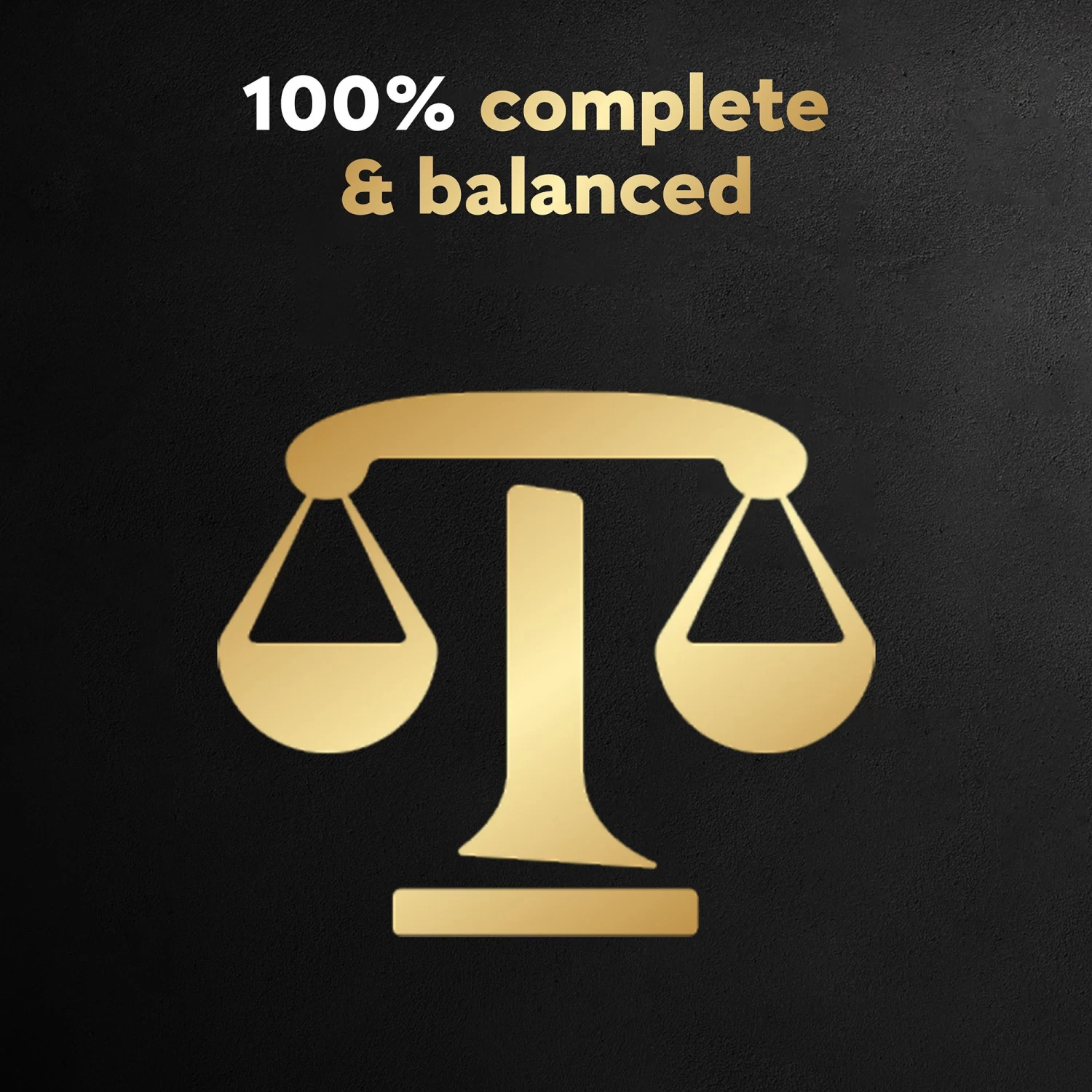 Cesar® Home Delights™ Small Breed 12 Pack Dog Food 3 Cesar® Home Delights™ Small Breed 12 Pack Dog Food - Image 3