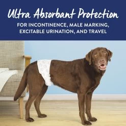 Top Paw® Disposable Male Wrap Dog Diapers 9 Top Paw® Disposable Male Wrap Dog Diapers -Pet Essentials Shop 5235230 alt4
