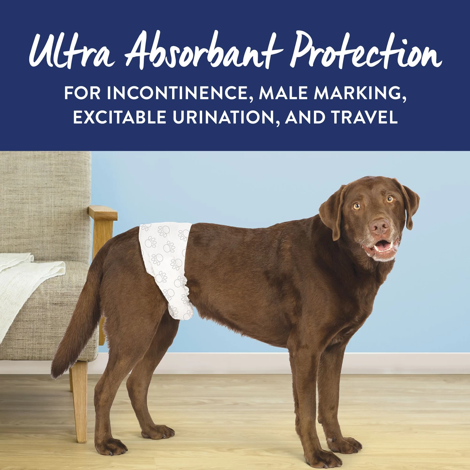 Top Paw® Disposable Male Wrap Dog Diapers 5 Top Paw® Disposable Male Wrap Dog Diapers - Image 5
