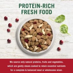 Freshpet® Vital™ Grain Free Complete Meals Beef With Lamb Adult Dog Food 9 Freshpet® Vital™ Grain Free Complete Meals Beef With Lamb Adult Dog Food -Pet Essentials Shop 5237611 alt4
