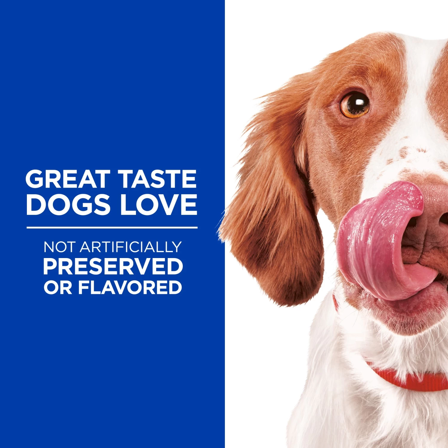 Hill's® Science Diet® Flexi-Stix Jerky Dog Treat - Natural, Turkey 5 Hill's® Science Diet® Flexi-Stix Jerky Dog Treat - Natural, Turkey - Image 5