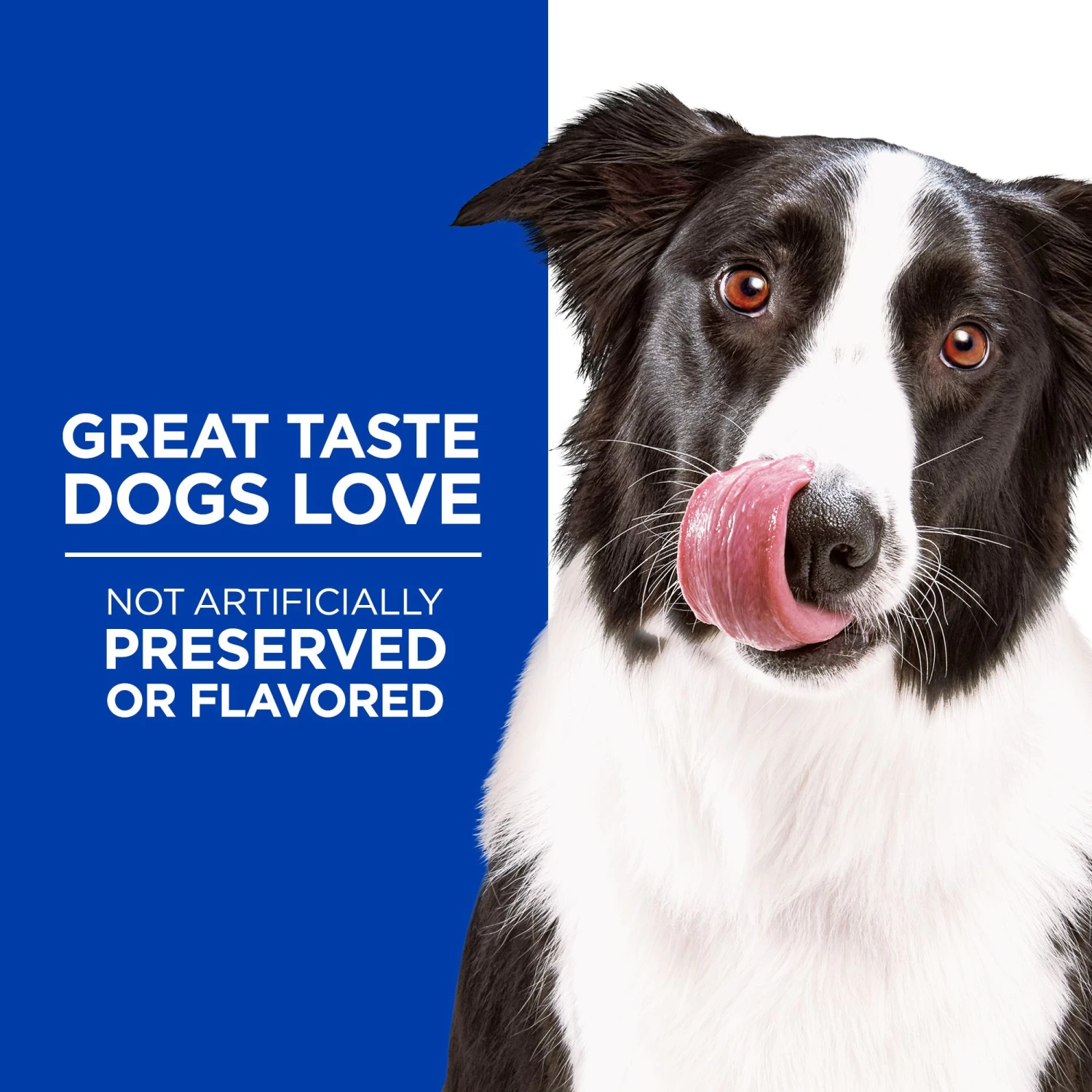 Hill's® Science Diet® Flexi-Stix Jerky Dog Treat - Natural, Beef 5 Hill's® Science Diet® Flexi-Stix Jerky Dog Treat - Natural, Beef - Image 5