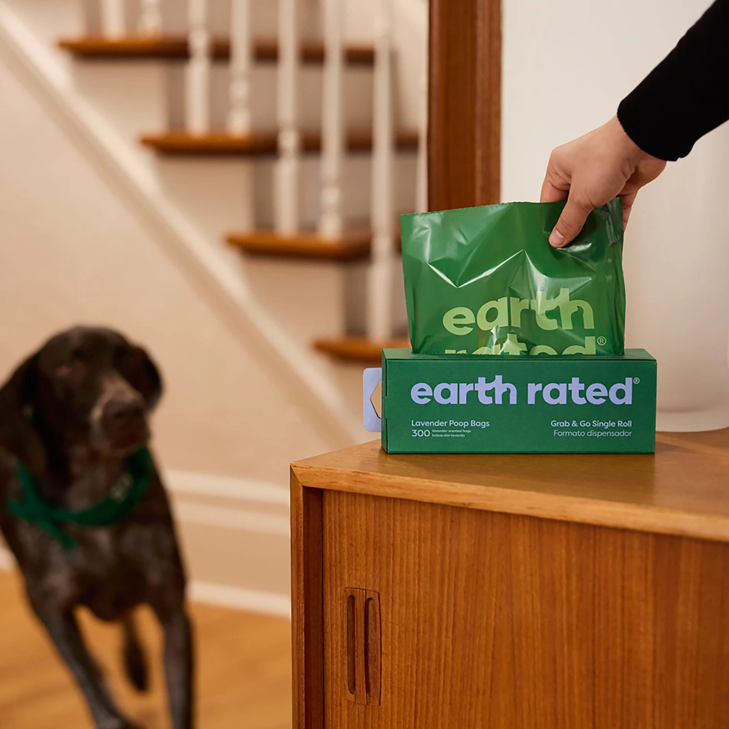 Earth Rated® Dog Waste Pick Up Bags - 300 Count 5 Earth Rated® Dog Waste Pick Up Bags - 300 Count - Image 5