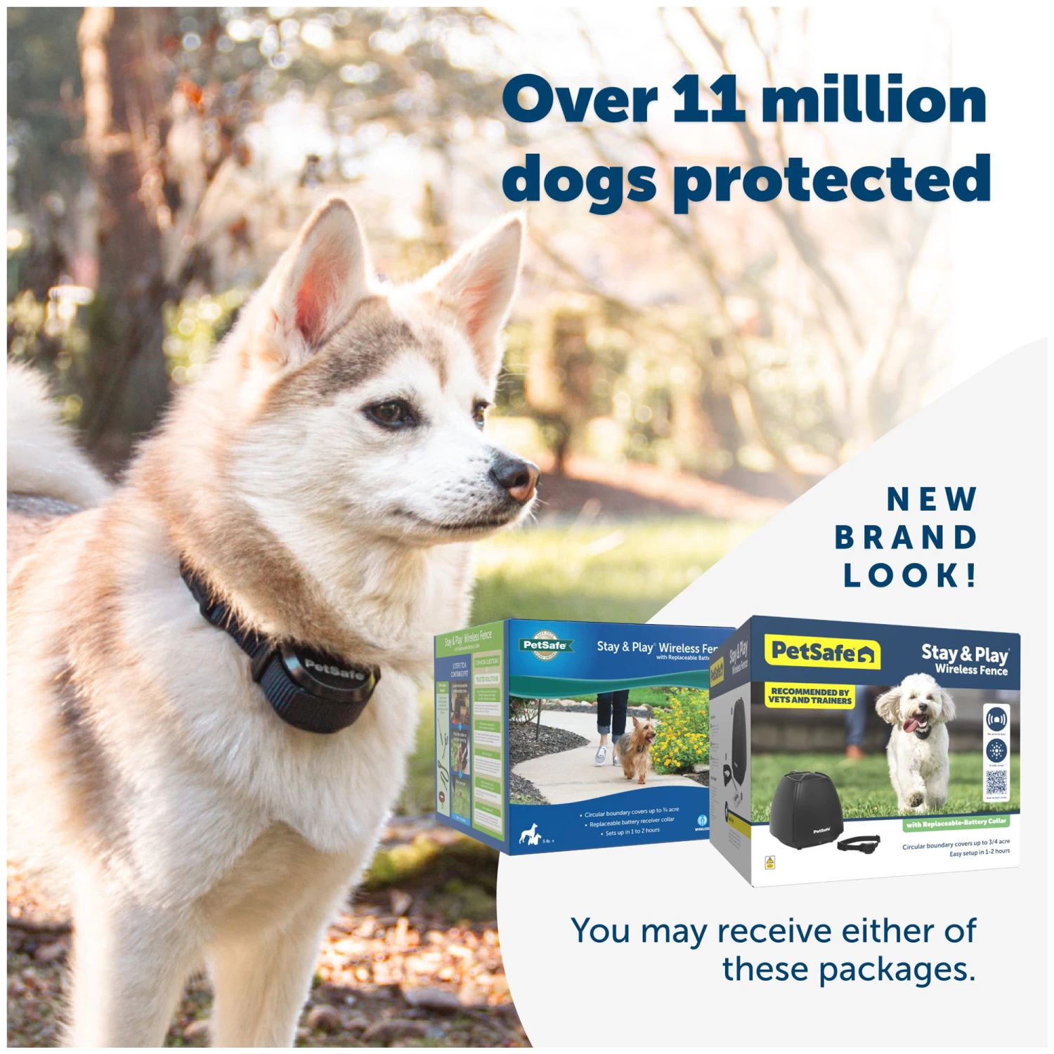 PetSafe® Stay And Play Wireless Pet Fence 6 PetSafe® Stay And Play Wireless Pet Fence - Image 6