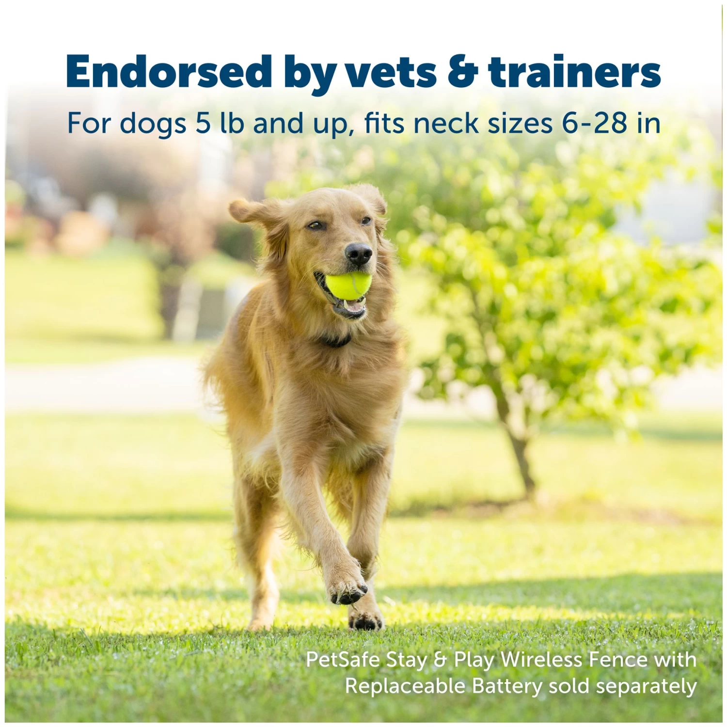 PetSafe® Stay And Play Wireless Collar 2 PetSafe® Stay And Play Wireless Collar - Image 2