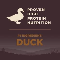 Wellness® CORE® Adult Dry Dog Food - Natural, Grain Free, Wild Game Formula -Pet Essentials Shop 5249048 alt4