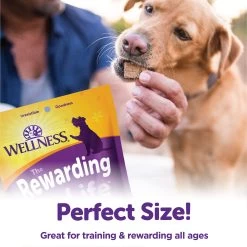 Wellness® Soft Wellbites Dog Treat - Grain Free, Natural, Chicken & Venison -Pet Essentials Shop 5255829 alt4