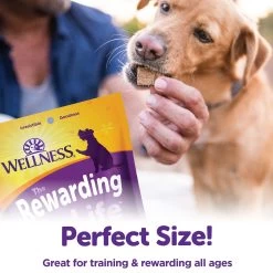 Wellness® Soft Wellbites Dog Treat - Natural, Grain Free, Turkey & Duck 10 Wellness® Soft Wellbites Dog Treat - Natural, Grain Free, Turkey & Duck -Pet Essentials Shop 5255833 alt4