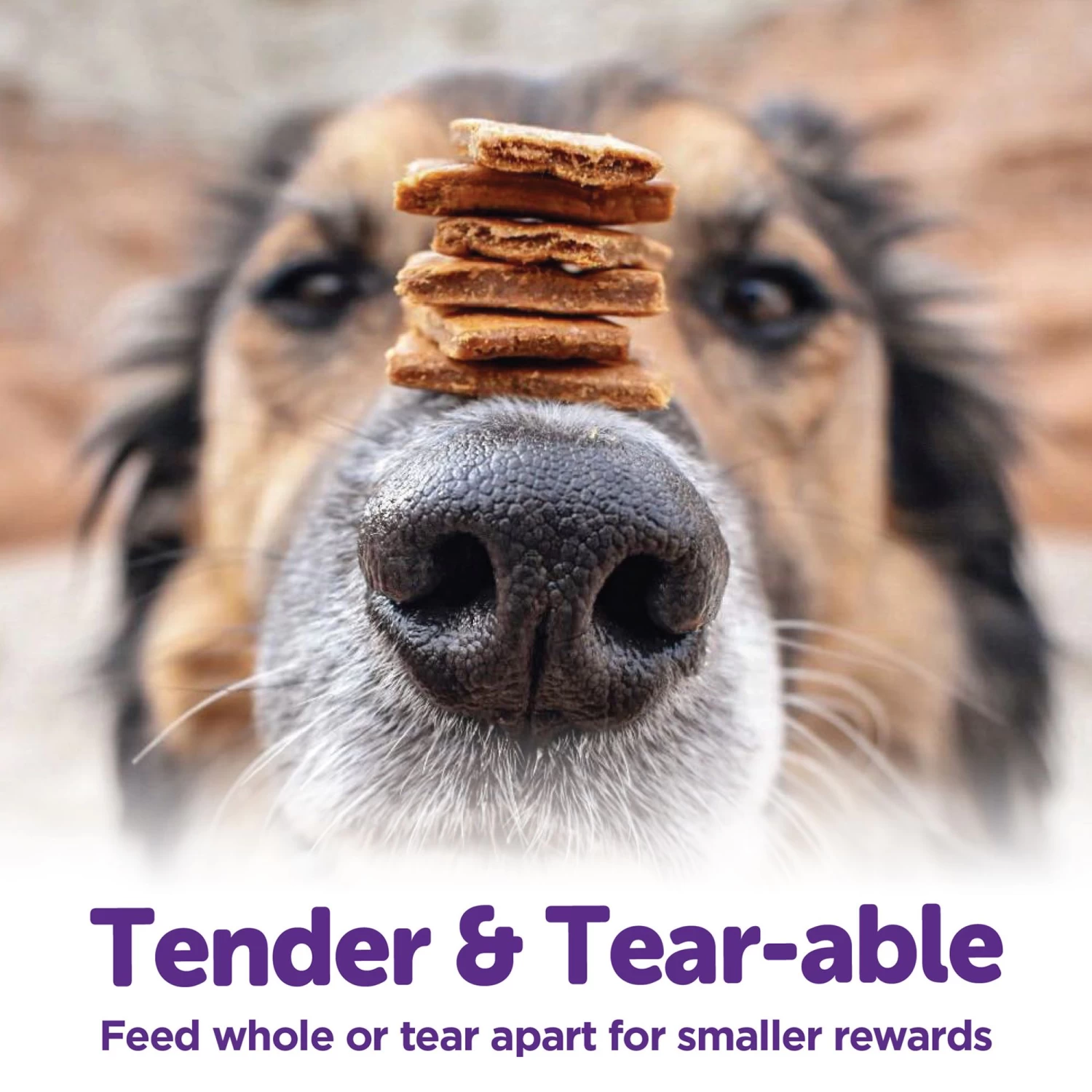 Wellness® Soft Wellbites Dog Treat - Natural, Grain Free, Turkey & Duck 6 Wellness® Soft Wellbites Dog Treat - Natural, Grain Free, Turkey & Duck - Image 6