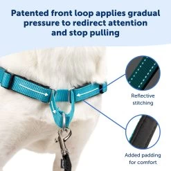 PetSafe® Deluxe Easy Walk Dog Harness -Pet Essentials Shop 5264343 alt2