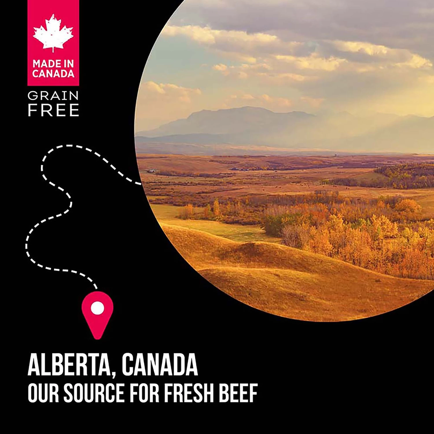 Nutrience® SubZero Large Breed Dog Food - Grain Free, Prairie Red 5 Nutrience® SubZero Large Breed Dog Food - Grain Free, Prairie Red - Image 5