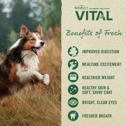 Freshpet® Vital™ Fresh Cuts All Life Stage Dog Food - Chicken -Pet Essentials Shop 5266544 alt3