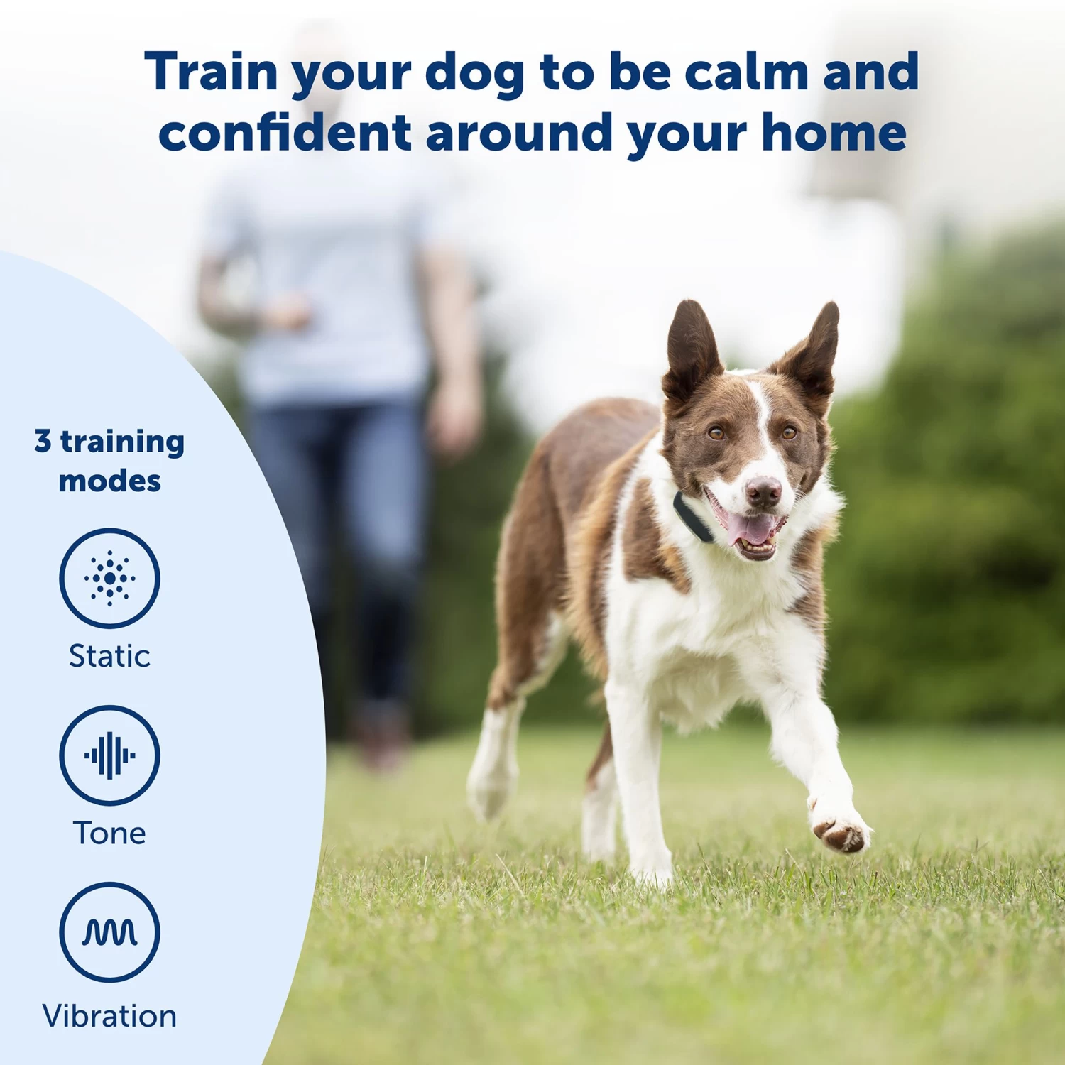 PetSafe® Remote Trainer 2 PetSafe® Remote Trainer - Image 2