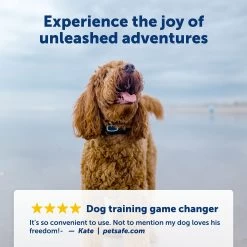 PetSafe® Remote Trainer 8 PetSafe® Remote Trainer -Pet Essentials Shop 5270145 alt3