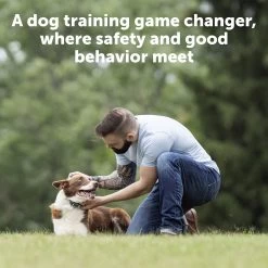 PetSafe® Remote Trainer 9 PetSafe® Remote Trainer -Pet Essentials Shop 5270145 alt4