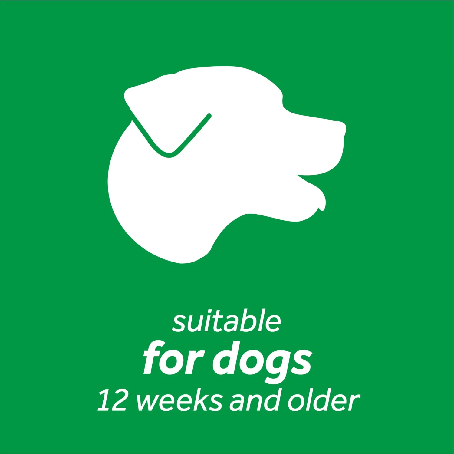 TropiClean® Fresh Breath® Small Dog Oral Care Kit 4 TropiClean® Fresh Breath® Small Dog Oral Care Kit - Image 4