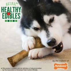 Nylabone® Healthy Edibles® Dog Chews - Bacon -Pet Essentials Shop 5272516 alt4