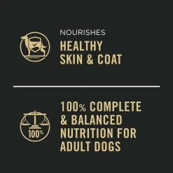 Purina Pro Plan Savor Adult Wet Dog Food - Grain Free, 13 Oz, 12 Count -Pet Essentials Shop 5275109 alt6