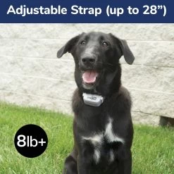 Free Spirit® Remote Trainer -Pet Essentials Shop 5276968 alt4