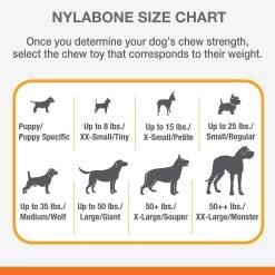 Nylabone® FlexiChew® Tiny Twin Pack Dog Toys - 2 Pack -Pet Essentials Shop 5278827 alt3