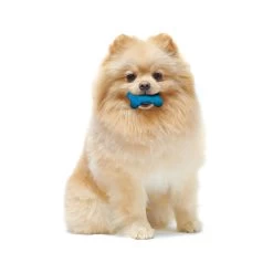 Nylabone® FlexiChew® Tiny Twin Pack Dog Toys - 2 Pack -Pet Essentials Shop 5278827 alt4