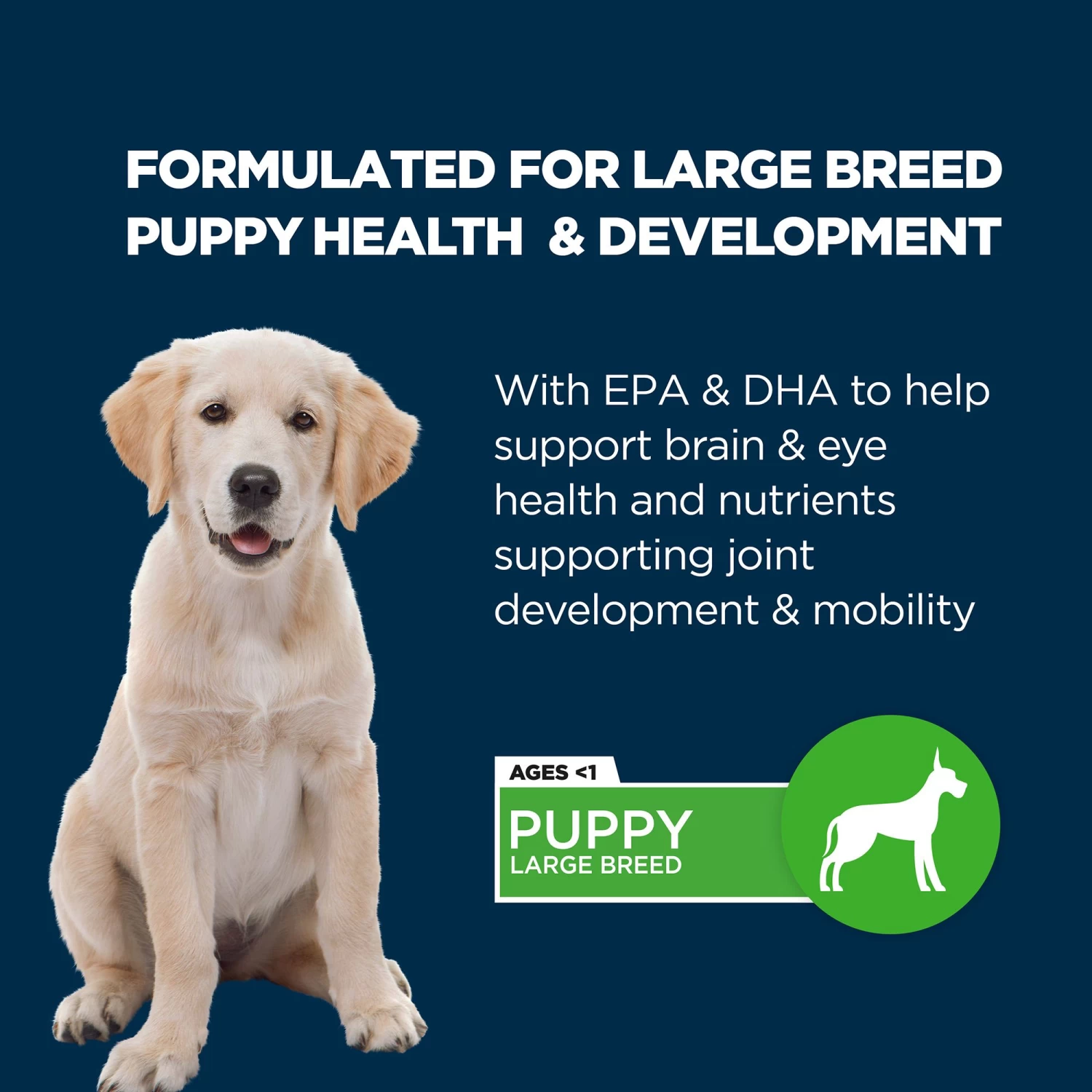 Authority® Everyday Health Large Breed Puppy Dry Dog Food - Chicken 2 Authority® Everyday Health Large Breed Puppy Dry Dog Food - Chicken - Image 2