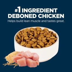 Authority® Everyday Health Large Breed Puppy Dry Dog Food - Chicken 7 Authority® Everyday Health Large Breed Puppy Dry Dog Food - Chicken -Pet Essentials Shop 5278886 alt2