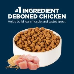 Authority® Everyday Health Small Breed Puppy Dry Dog Food - Chicken -Pet Essentials Shop 5278890 alt2