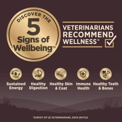 Wellness® CORE® Senior Dry Dog Food - Natural, Grain Free -Pet Essentials Shop 5279671 alt3