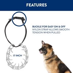 Top Paw® Buckle Prong Training Dog Collar -Pet Essentials Shop 5285730 alt2