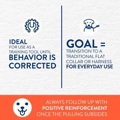 Top Paw® Buckle Prong Training Dog Collar -Pet Essentials Shop 5285730 alt4