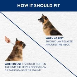 Top Paw® Quick Release Prong Training Dog Collar -Pet Essentials Shop 5285734 alt4