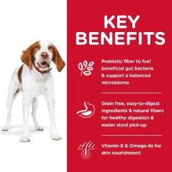 Hill's® Science Diet® Sensitive Stomach & Skin Adult Dry Dog Food - Grain Free, Chicken & Potato -Pet Essentials Shop 5286616 alt3