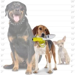 TUFFY® Banana 2-in-1 Dog Toy - Tough Plush -Pet Essentials Shop 5293367 alt4