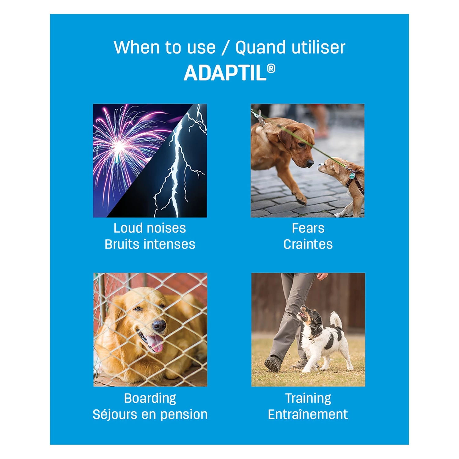 ADAPTIL 24-7 Calming Collar For Dogs - Med/Large Dogs 2 ADAPTIL 24-7 Calming Collar For Dogs - Med/Large Dogs - Image 2