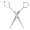 Top Paw® Metal Straight Pet Hair Scissors