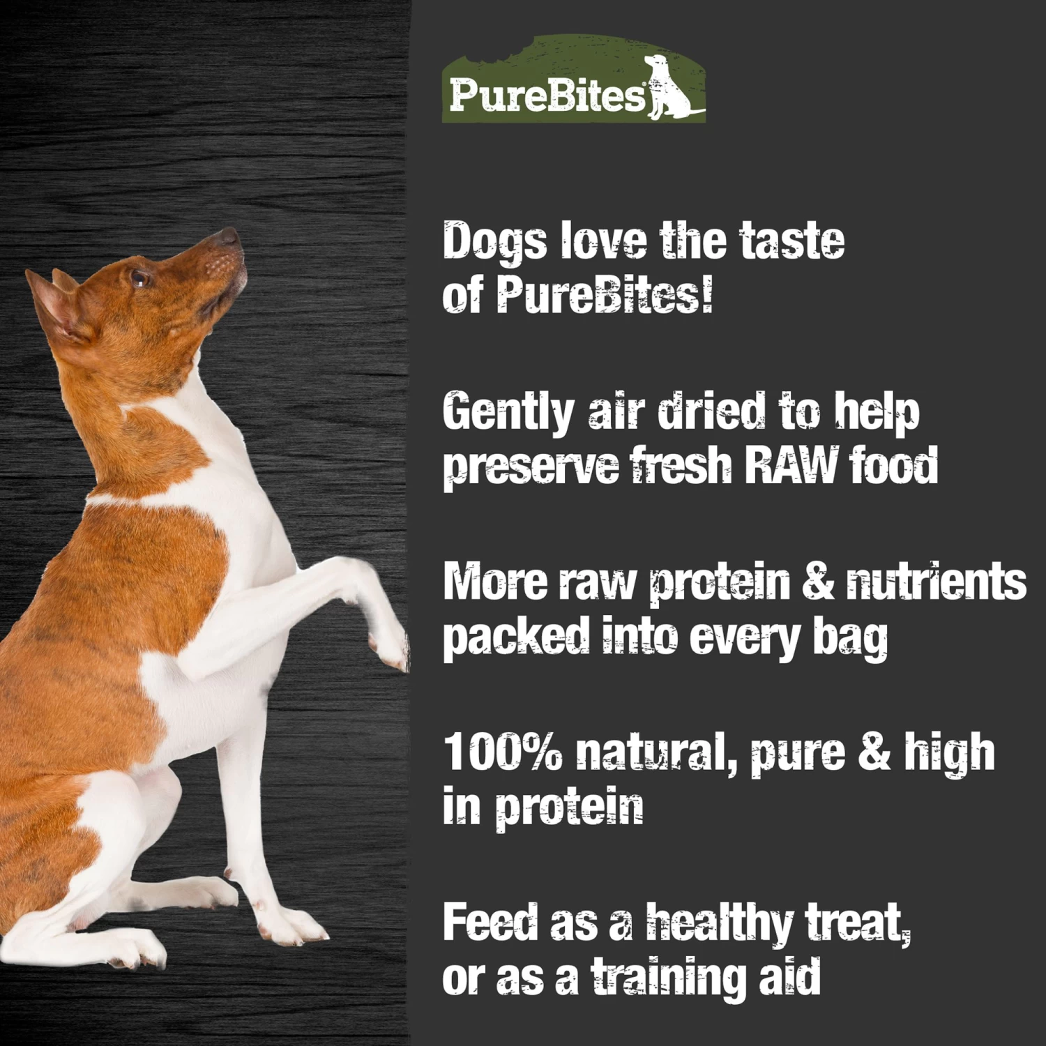 PureBites® Beef Jerky Dog Treat 5 PureBites® Beef Jerky Dog Treat - Image 5