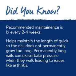 Top Paw® Large Metal Guillotine Pet Nail Clipper 7 Top Paw® Large Metal Guillotine Pet Nail Clipper -Pet Essentials Shop 5296696 alt3