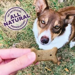 Old Mother Hubbard® Original Small Biscuit Dog Treats - Natural, Variety Pack -Pet Essentials Shop 5298035 alt5