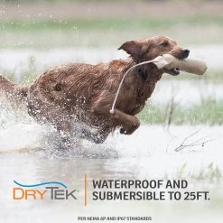 SportDOG Brand® NoBark SBC-10 Bark Control Dog E-Collar -Pet Essentials Shop 5298230 alt4