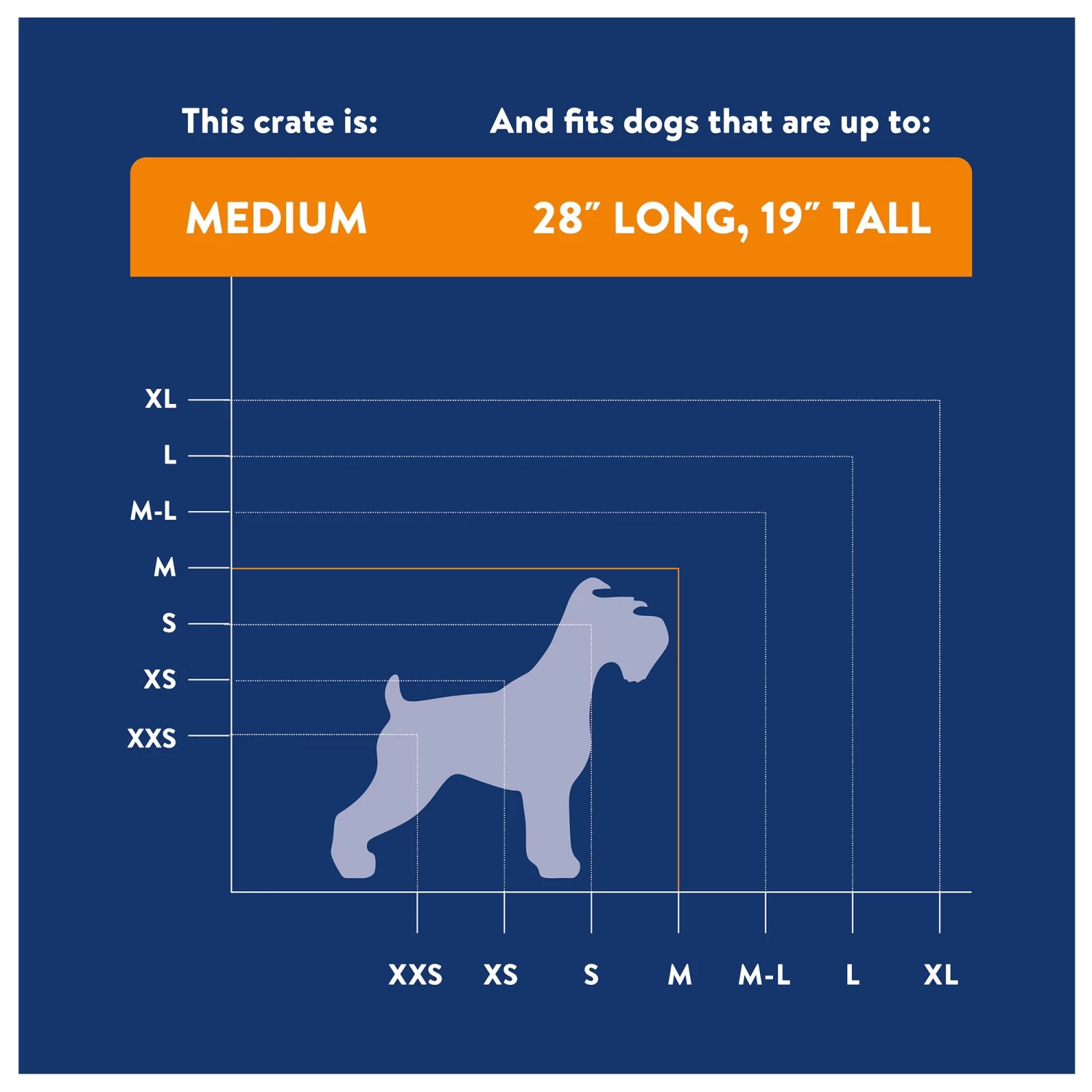 Top Paw® Double Door Folding Wire Dog Crate With Divider Panel 3 Top Paw® Double Door Folding Wire Dog Crate With Divider Panel - Image 3