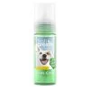 TropiClean Fresh Breath Oral Care Foam For Dogs