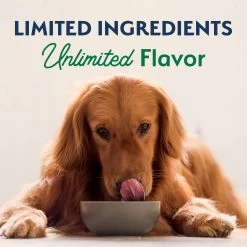 Natural Balance Limited Ingredient Diets With-Grain Adult Dry Dog Food - Lamb & Brown Rice -Pet Essentials Shop 5299957 alt8